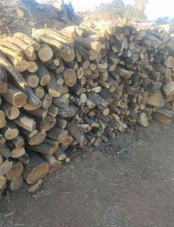 Seasoned Orange tree Firewood 