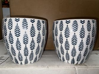 Ceramic Indoor Planter