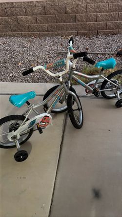 2 unisex bicycles