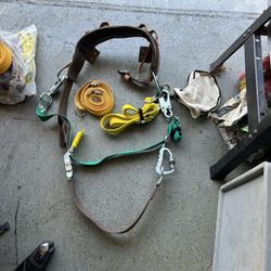 Climbing Belt + Bucksqeeze