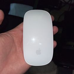 Apple Mouse