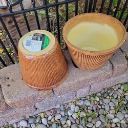 2 Flowers Pot 