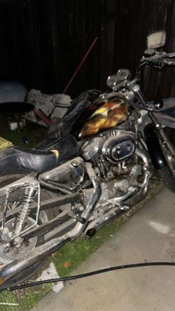 Harley-Davidson Sportster, likely an 883 or 1200 model based