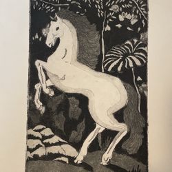 The Unicorn That Wasn’t