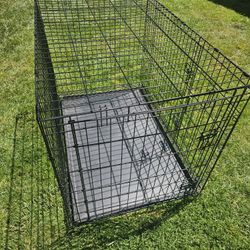 Large Dog Kennel 