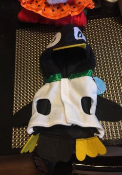 Penguin outfit for dog or cat smile