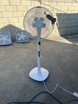 Ventilador