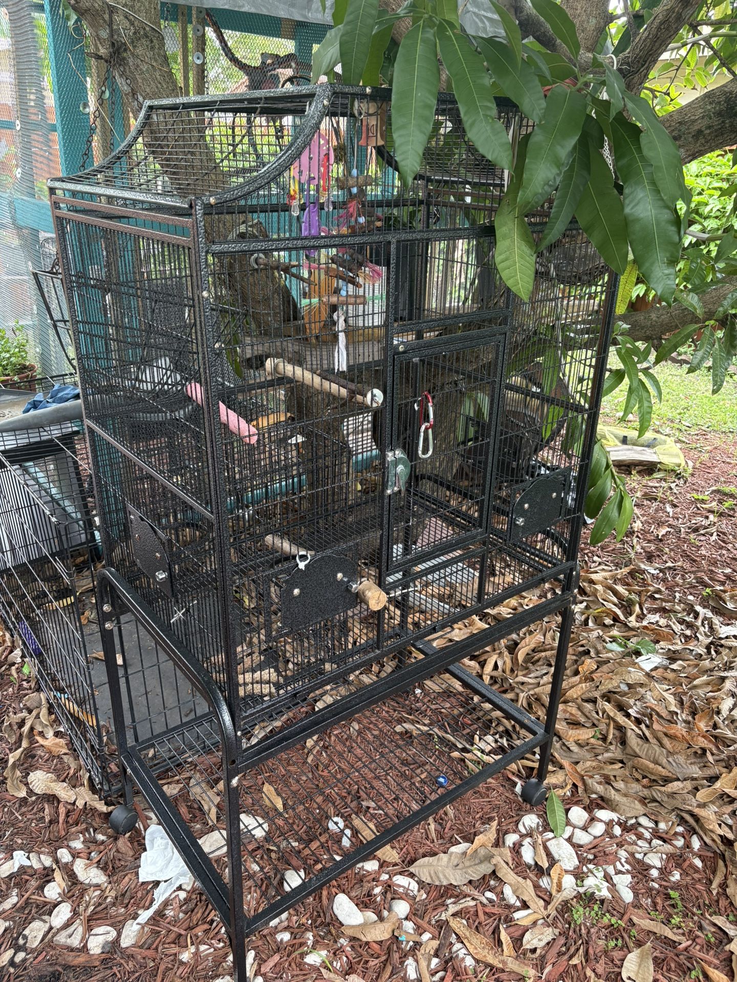 Parrot / bird Cage 100 Bucks 