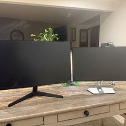 2 Monitors And Docking Station 