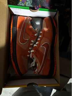 Sb lobster 10.5