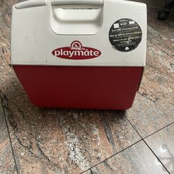 cooler for drink for meat for veggies and much more