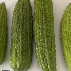Bitter Melon