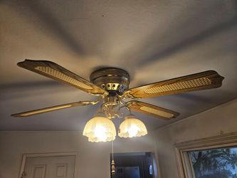 Free 52" Ceiling Fan with lights, fully functional w/3 speeds!