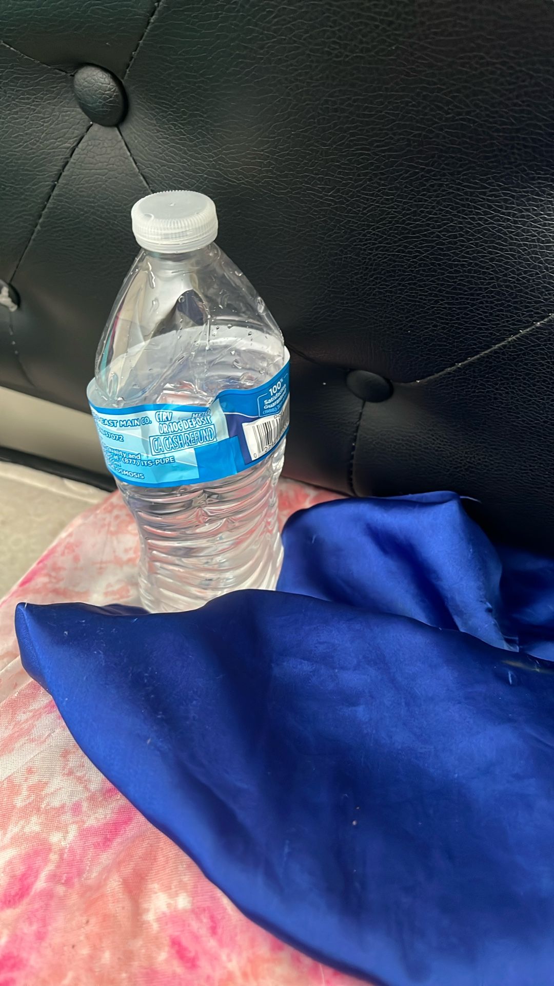 Bunnet In Water In Pillow Cases