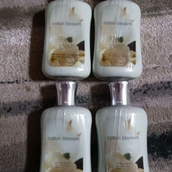Bath and Bodyworks Lotion