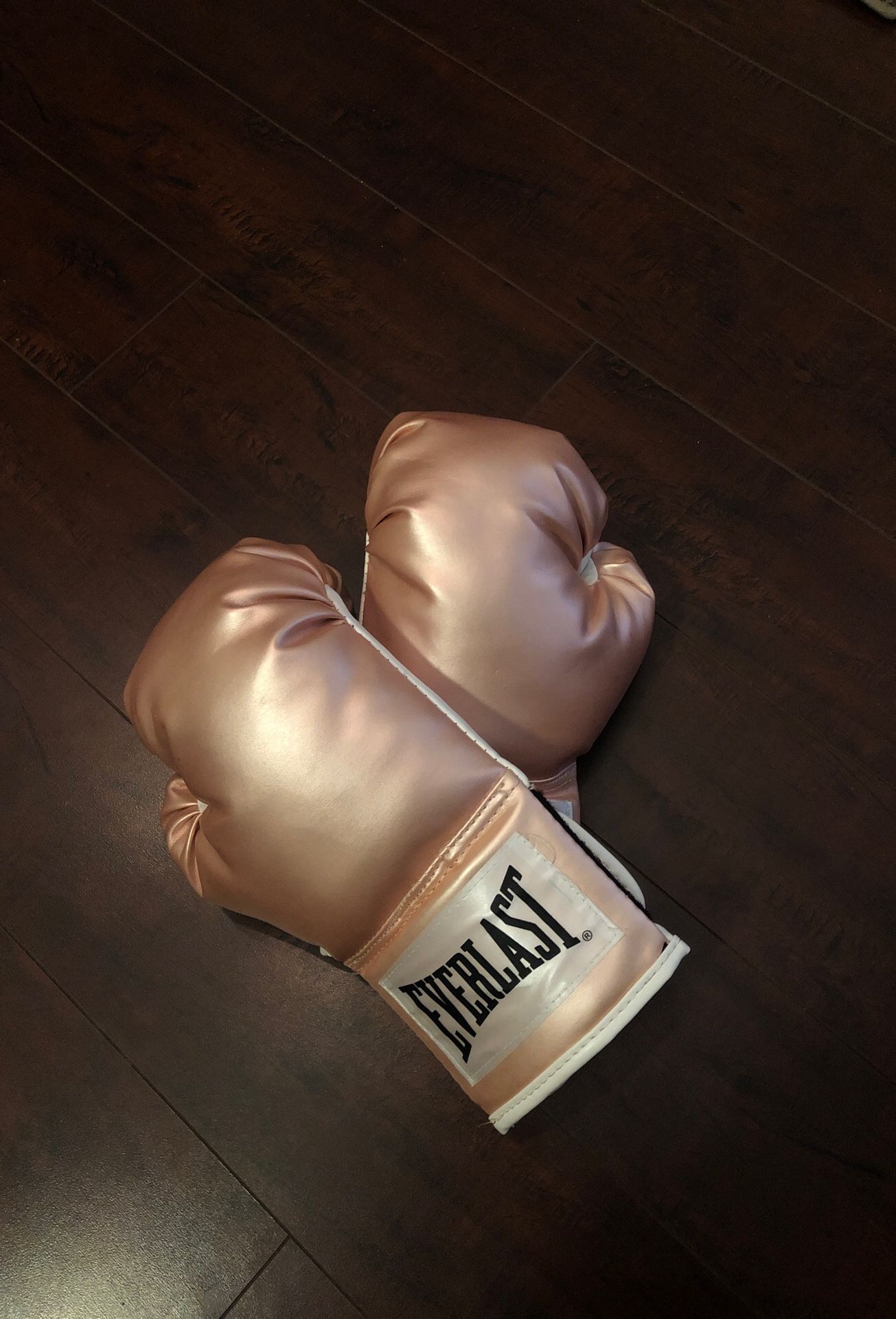 Everlast boxing gloves