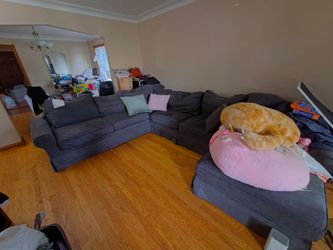Blue couch