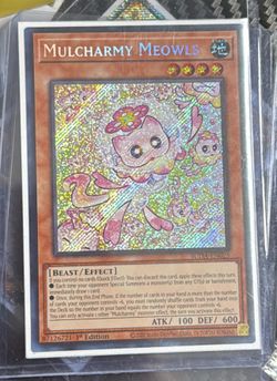 MULCHARMY MEOWLS