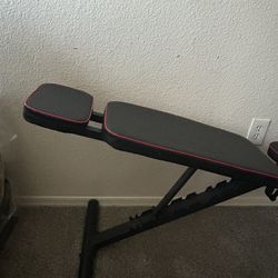 Bench Weight