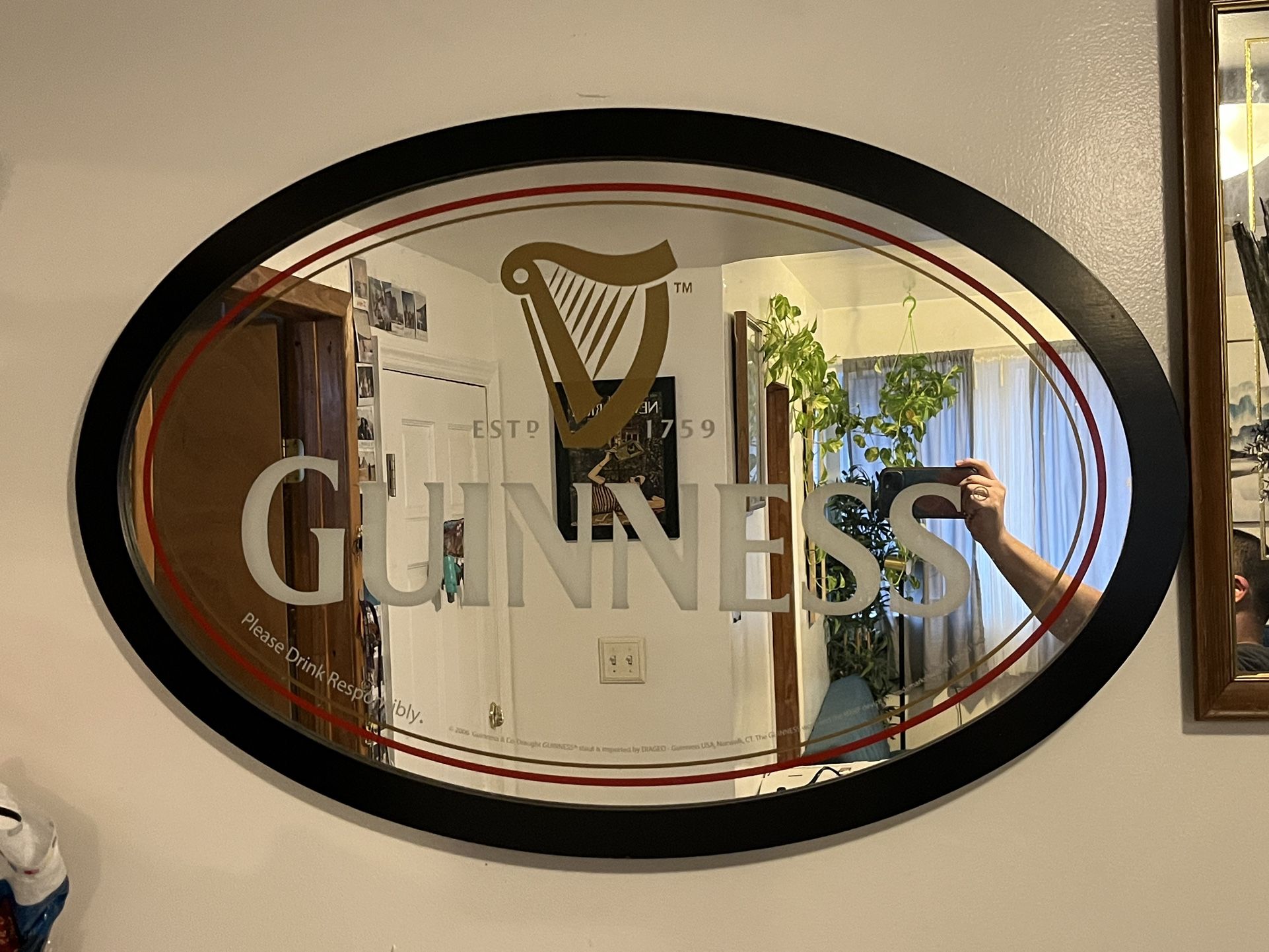 Bar Beer Signs And mirror