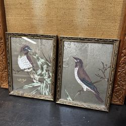 Pair Framed Painted Bird Prints on Cloth Silk?