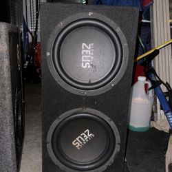 Two 10 Inch Subs With Box