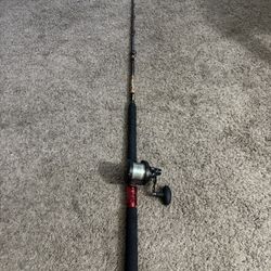 Penn 25 NLD2 & Seeker Rod 