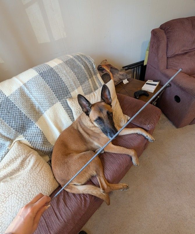 76 WEDDING SPARKERS - 36" Gold Wire (3-4 Minute Burn Time!)