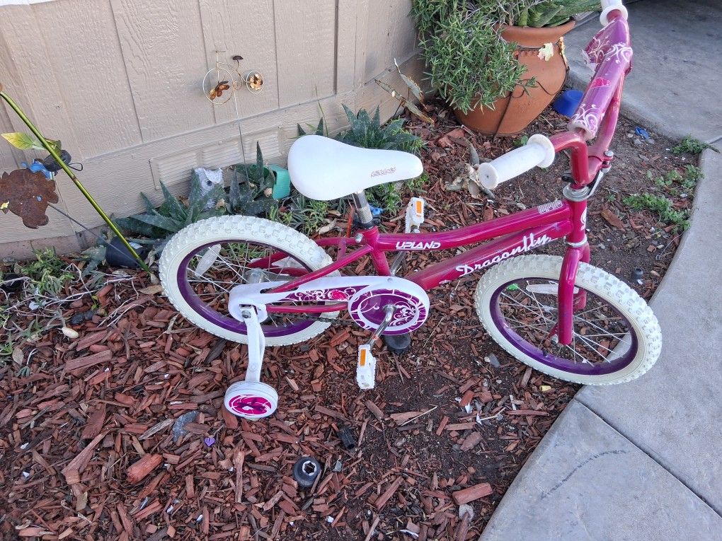 Little Girl Bicycle