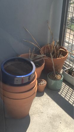 Orange planting pots