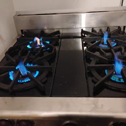 Wolf 30" Range W/ Convection Oven