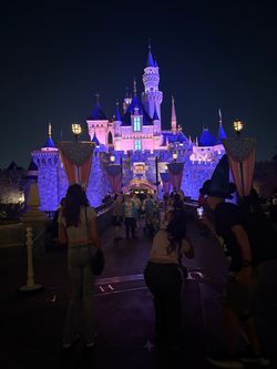 Purse from Disney Land