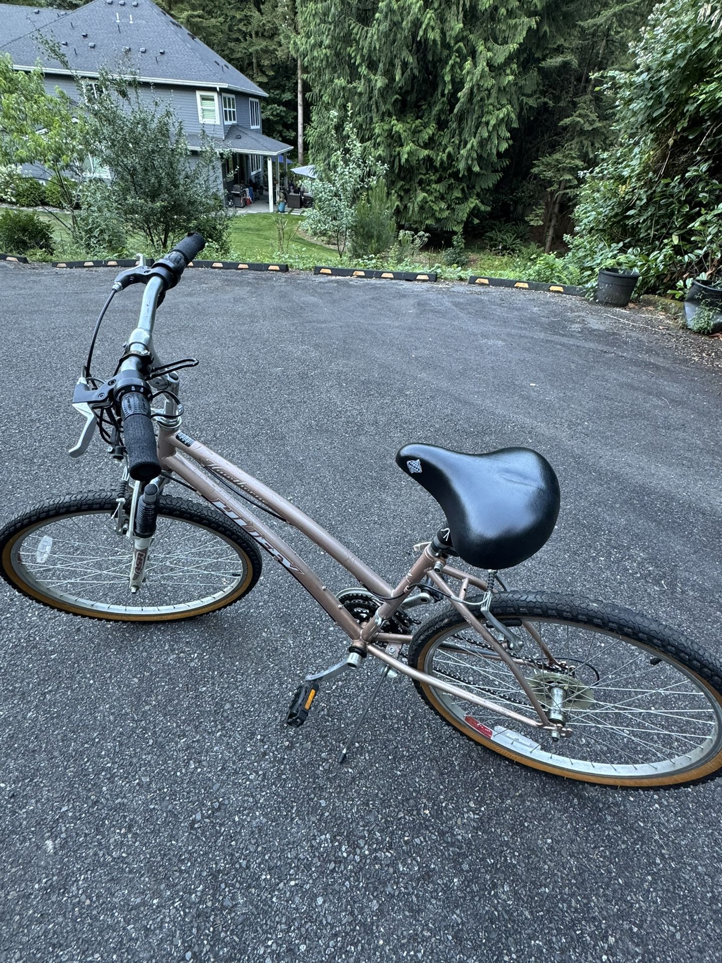 The Huffy Hawkthorne - 21-speed mountain bike