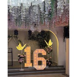 LED Butterflies And Marquee Numbers 