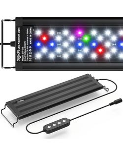 Luminoodle XL - The Original USB Powered Outdoor LED String Lights + Camping Lantern - 10 ft Submersible Lights for Hiking, Safety, Emergencies

