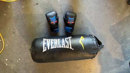 Punching bag and kids glove