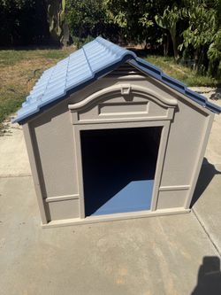 Dog House