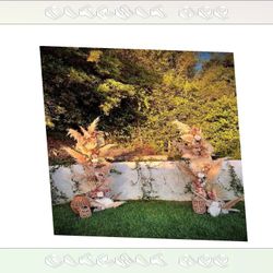 Personalized Wedding Arches Build Your Dream Ceremony Setup add change
