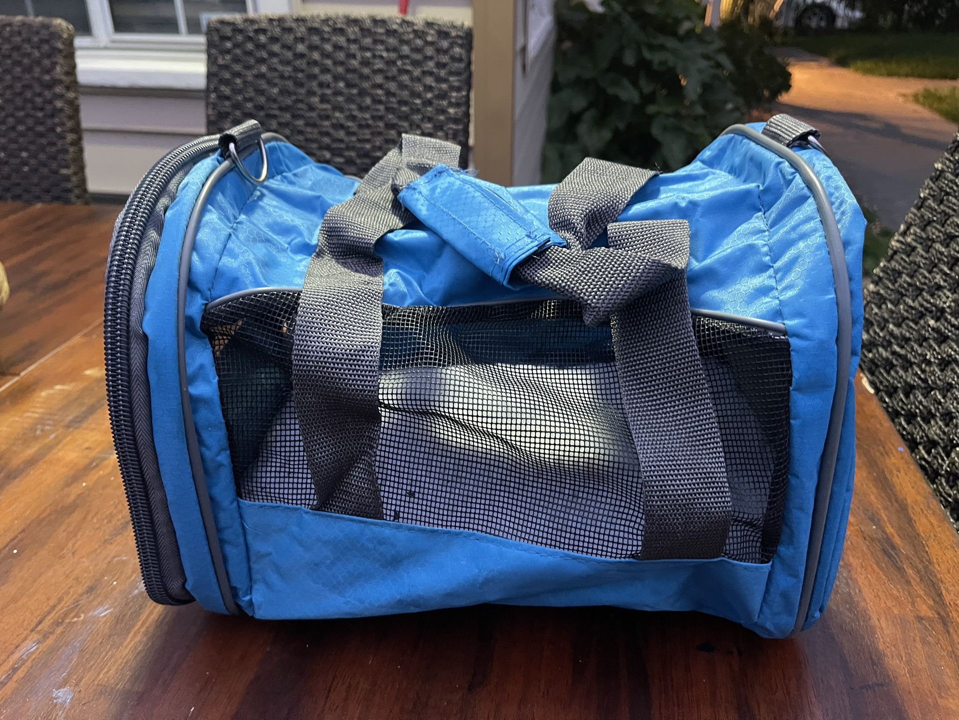 Cat Carry Bag