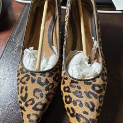 Clark’s -Sage Copper 