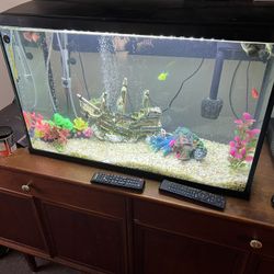 30 gallon fish tank