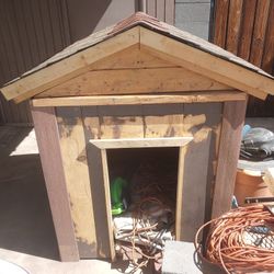 Dog House