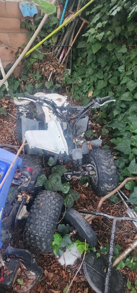 Quad Mechanic Deal