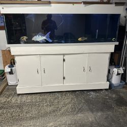 Aquarium Complete, 200 Gallon, Stand and Light