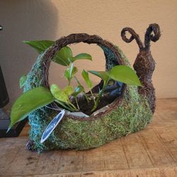 Moss Wired Basket Snail Design With Plant. New. Indoor Or Patio. 