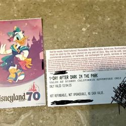 Disney California Adventure Private Event 