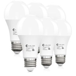 6-Packs A19 LED Light Bulbs