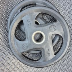 25LBS Rubber Weights