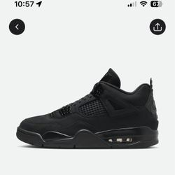Jordan four black cat