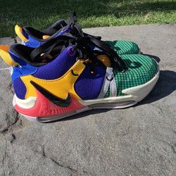 Nike Lebron Basketball Shoes